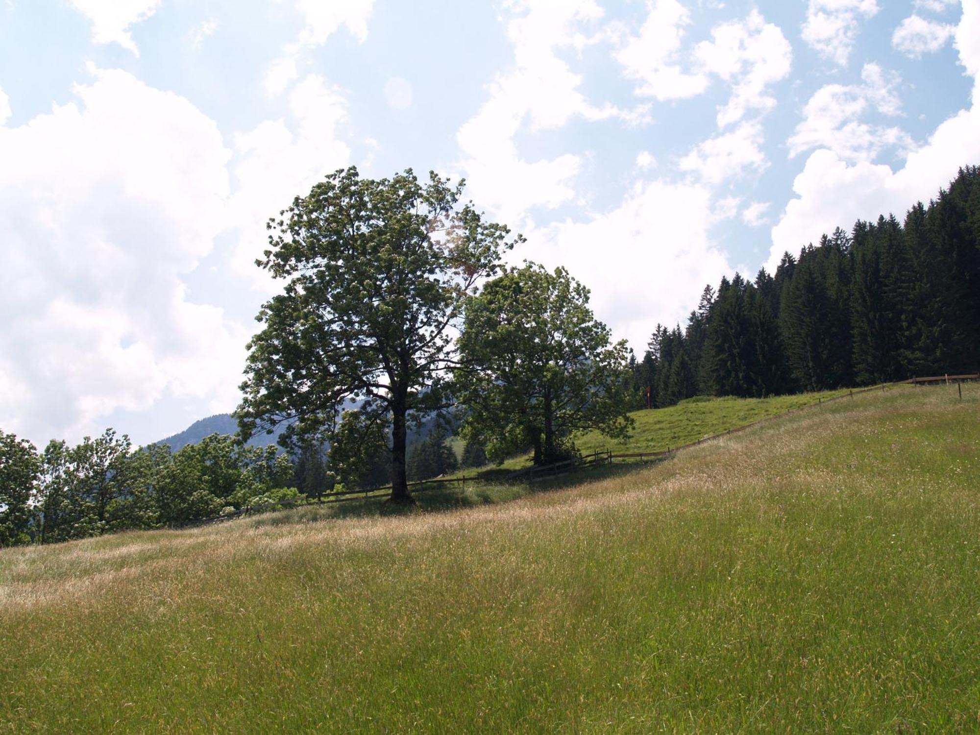 Pension Talblick in Wängle bei Reutte Exterior foto
